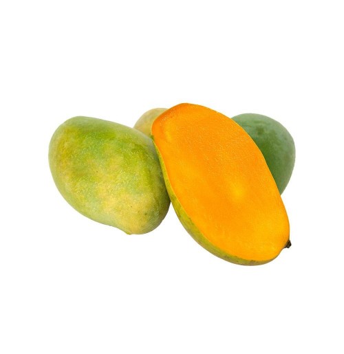 Mango - Pedda Rasalu (RIpen in 2-3 days)